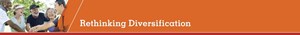 Rethinking_Diversification