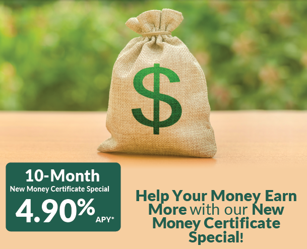 New_Money_-_earn_more